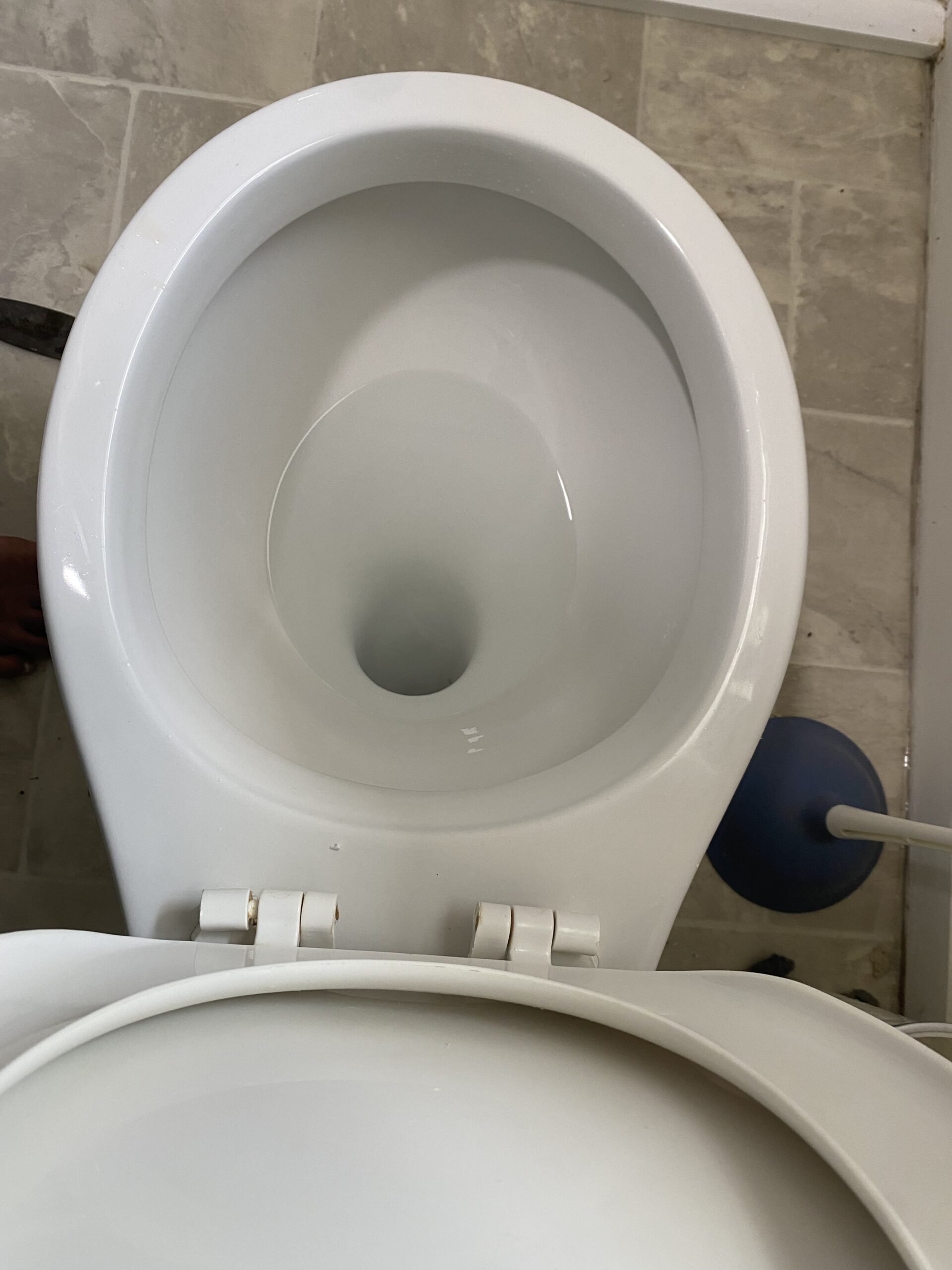 Toilet bowl after professional cleaning - gleaming white