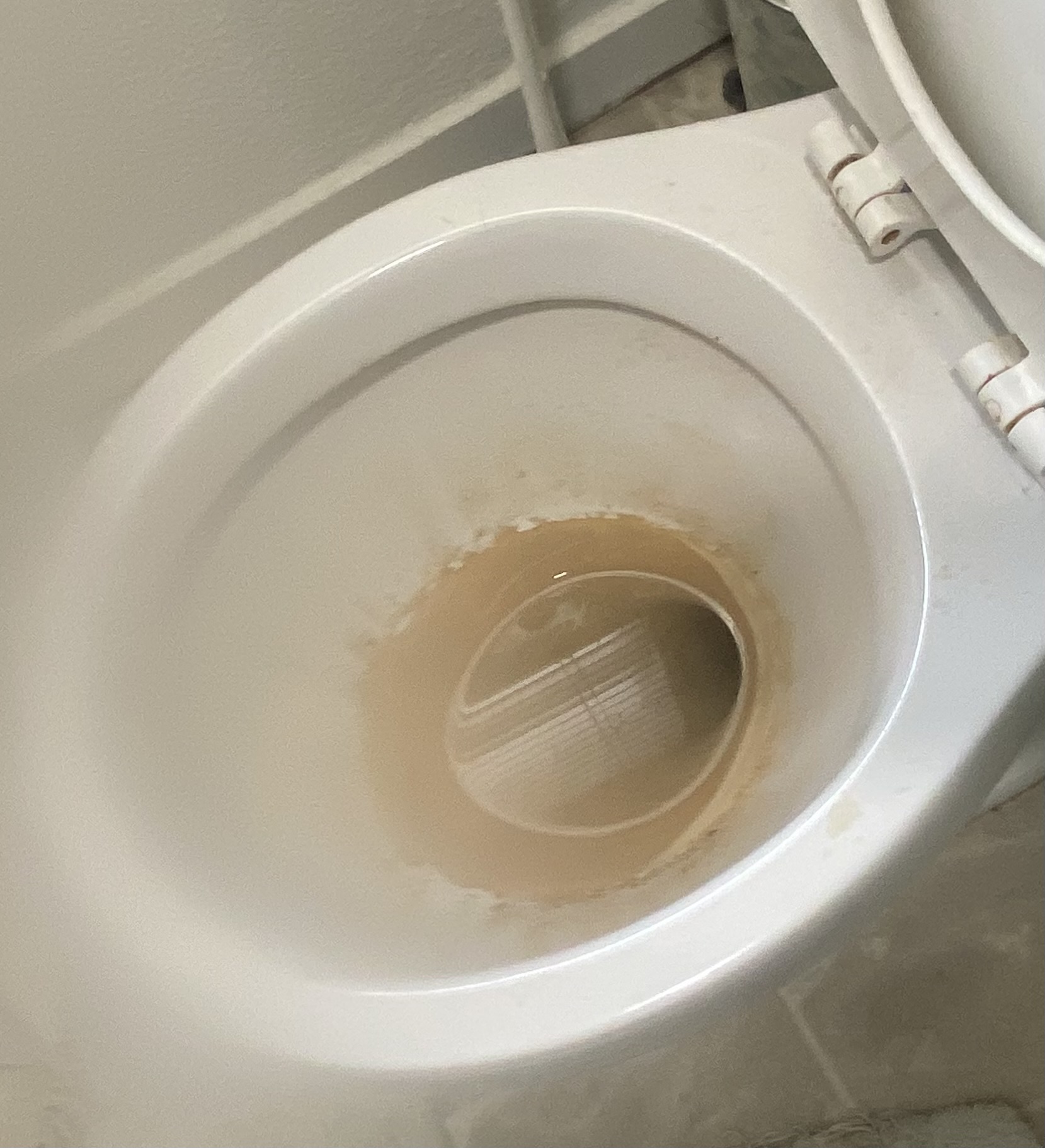 Toilet bowl before cleaning - stained and unclean